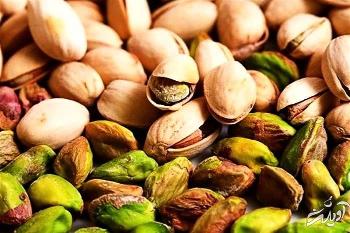 پسته از مغزهای گرم مزاج پسته